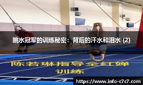 c7娱乐公司